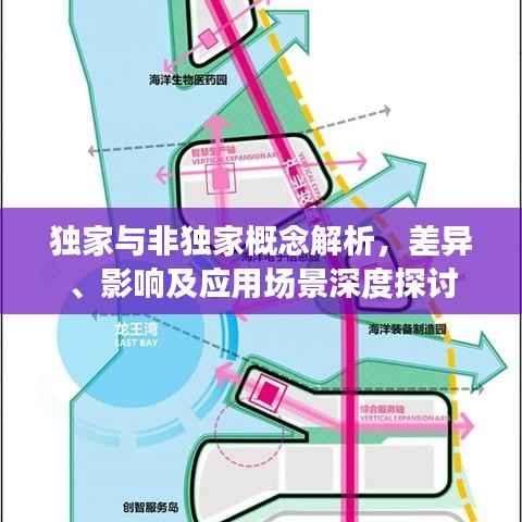 独家与非独家概念解析，差异、影响及应用场景深度探讨