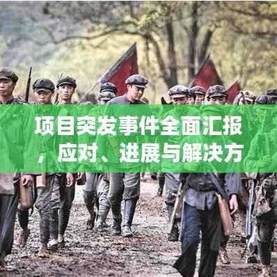 项目突发事件全面汇报，应对、进展与解决方案一网打尽