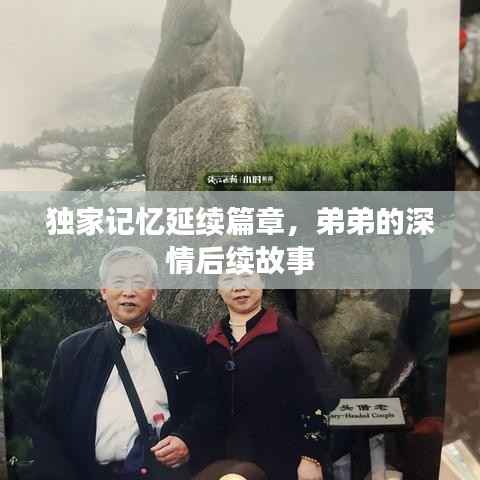 独家记忆延续篇章，弟弟的深情后续故事