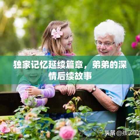 独家记忆延续篇章,弟弟的深情后续故事
