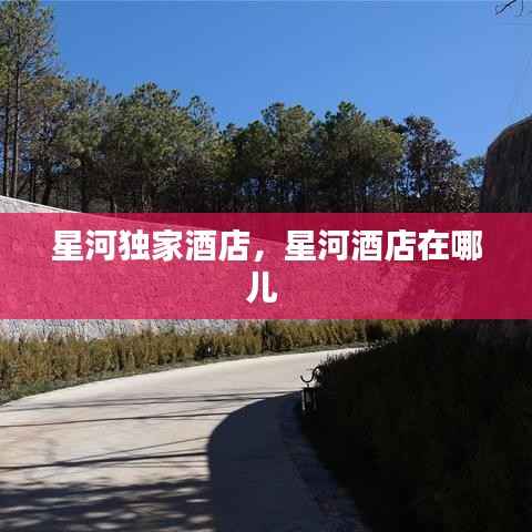 星河独家酒店，星河酒店在哪儿 