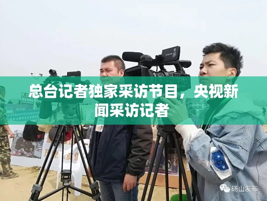 总台记者独家采访节目，央视新闻采访记者 