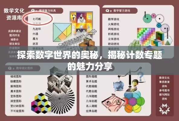 探索数字世界的奥秘，揭秘计数专题的魅力分享