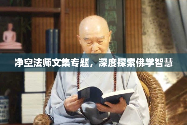 净空法师文集专题，深度探索佛学智慧