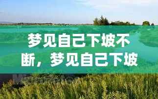 计日程功 第4页