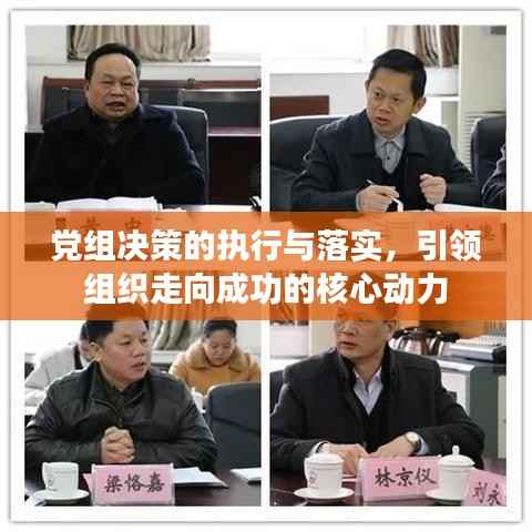 党组决策的执行与落实，引领组织走向成功的核心动力