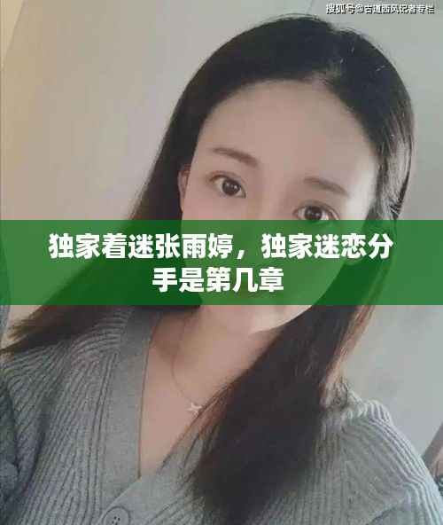 独家着迷张雨婷，独家迷恋分手是第几章 