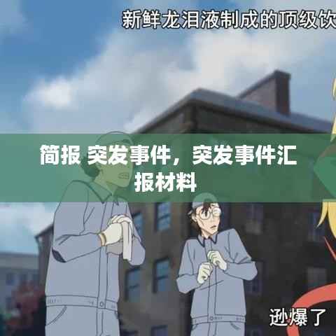 简报 突发事件，突发事件汇报材料 