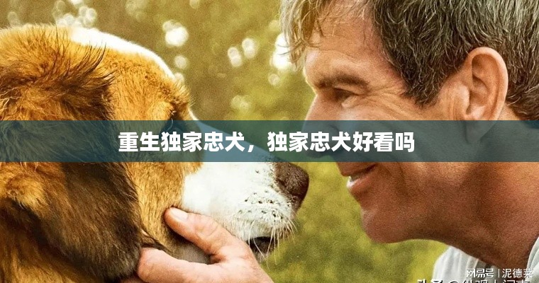 重生独家忠犬，独家忠犬好看吗 