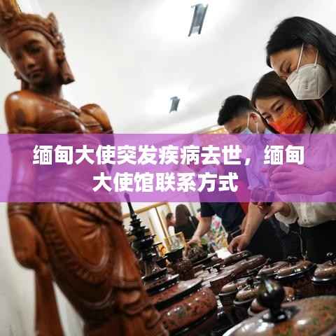 风度翩翩 第5页