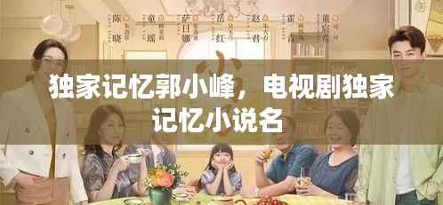 独家记忆郭小峰，电视剧独家记忆小说名 