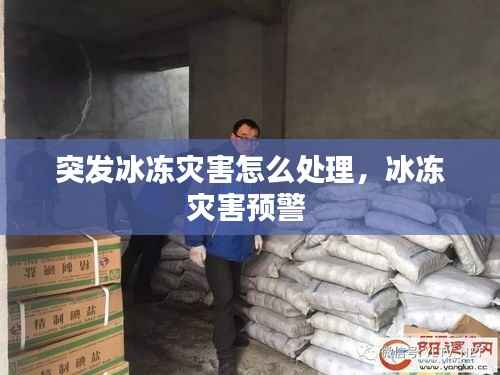 突发冰冻灾害怎么处理，冰冻灾害预警 