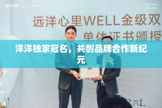 洋洋独家冠名，共创品牌合作新纪元
