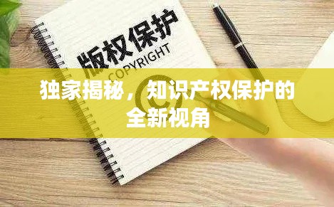 独家揭秘，知识产权保护的全新视角