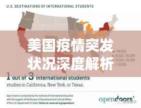 美国疫情突发状况深度解析