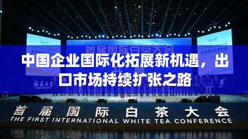 中国企业国际化拓展新机遇，出口市场持续扩张之路