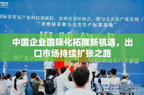 中国企业国际化拓展新机遇,出口市场持续扩张之路