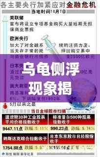 乌龟侧浮现象揭秘，原因分析与紧急应对措施