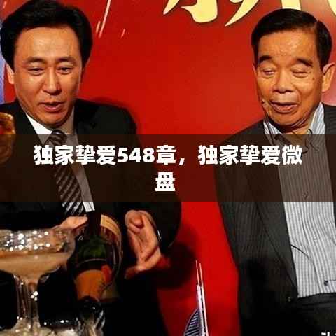 独家挚爱548章，独家挚爱微盘 