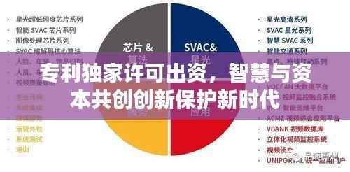 专利独家许可出资，智慧与资本共创创新保护新时代