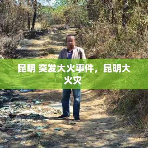 昆明 突发大火事件，昆明大火灾 