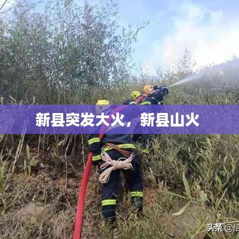 新县突发大火，新县山火 