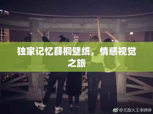 独家记忆薛桐壁纸，情感视觉之旅