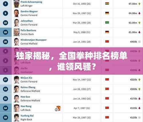 独家揭秘，全国拳种排名榜单，谁领风骚？