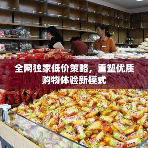 全网独家低价策略，重塑优质购物体验新模式