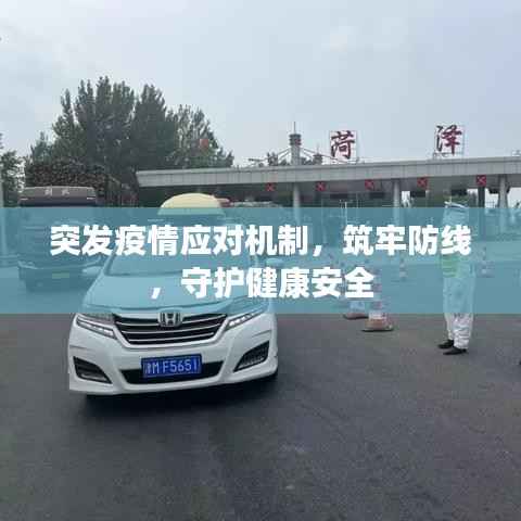 突发疫情应对机制，筑牢防线，守护健康安全