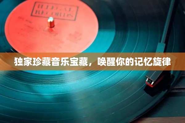 独家珍藏音乐宝藏，唤醒你的记忆旋律