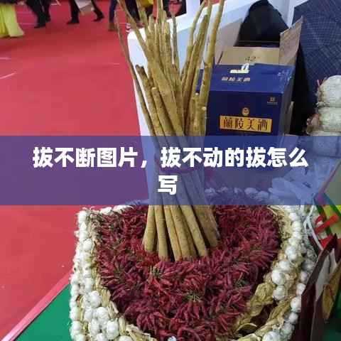 拔不断图片，拔不动的拔怎么写 
