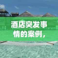 酒店突发事情的案例，酒店突发事件的处理原则 