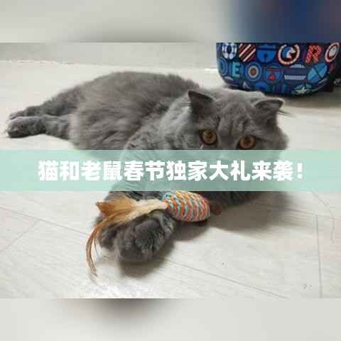 猫和老鼠春节独家大礼来袭！