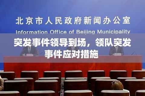 突发事件领导到场，领队突发事件应对措施 