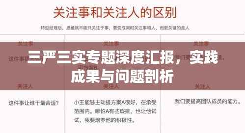 三严三实专题深度汇报,实践成果与问题剖析