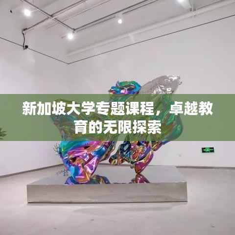 新加坡大学专题课程，卓越教育的无限探索