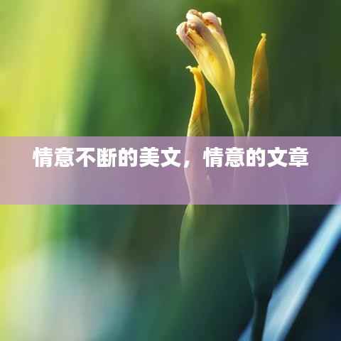 情意不断的美文，情意的文章 