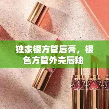 独家银方管唇膏，银色方管外壳唇釉 