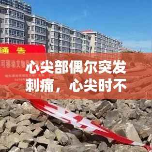 斫琱为朴 第5页