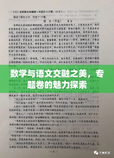 数学与语文交融之美，专题卷的魅力探索