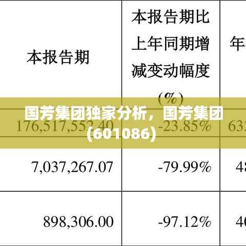 国芳集团独家分析，国芳集团(601086) 
