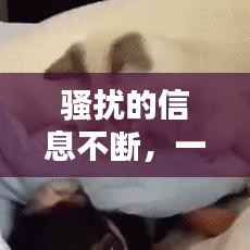 骚扰的信息不断，一直信息骚扰 