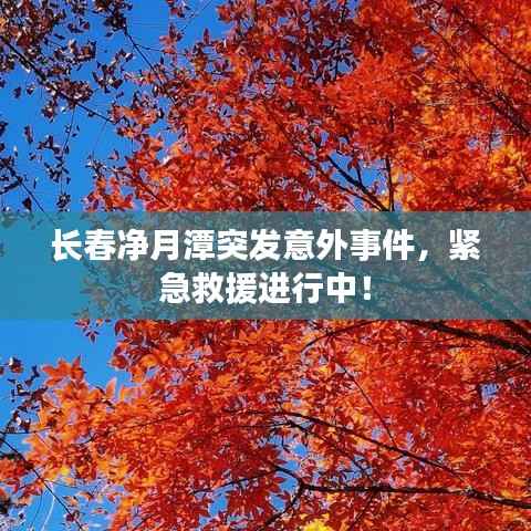 长春净月潭突发意外事件，紧急救援进行中！