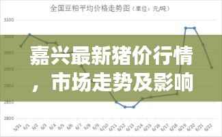 嘉兴最新猪价行情,市场走势及影响因素分析