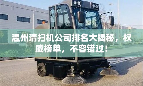 温州清扫机公司排名大揭秘，权威榜单，不容错过！