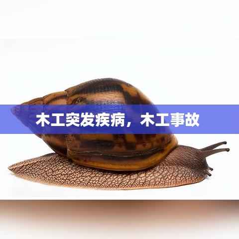 木工突发疾病，木工事故 