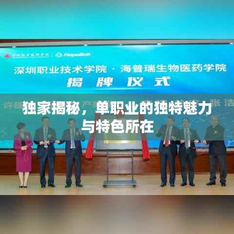 独家揭秘，单职业的独特魅力与特色所在