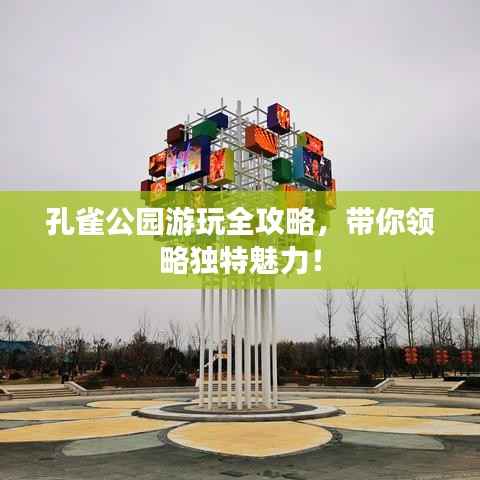 孔雀公园游玩全攻略，带你领略独特魅力！