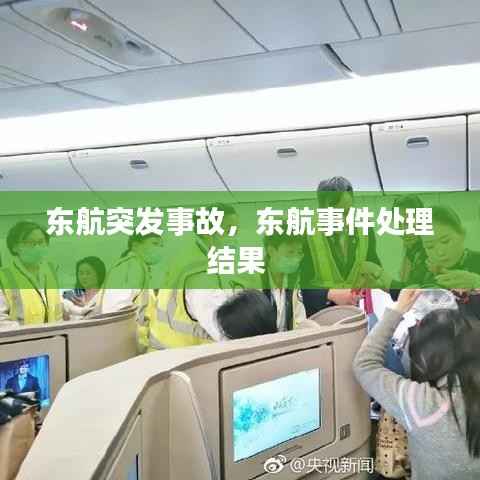 东航突发事故，东航事件处理结果 
